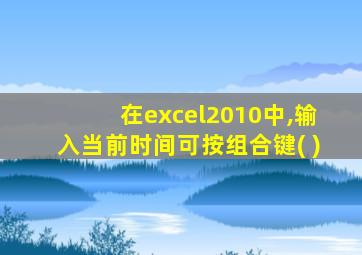 在excel2010中,输入当前时间可按组合键( )